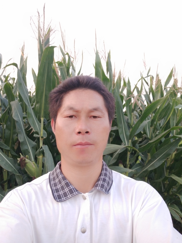 四海游龙的第一张照片--宜城蓝颜知己交友网